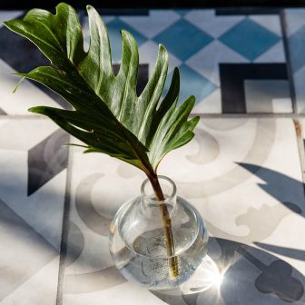 still shot of decorative plant on table