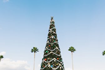 christmas tree surrounded by palm trees